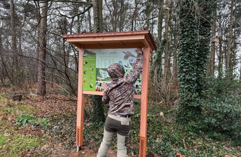 Dierversiteit op camping reusterman