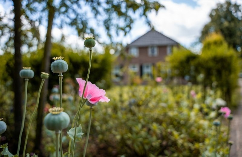 Reusterman gemoedelijke camping barchem natuur